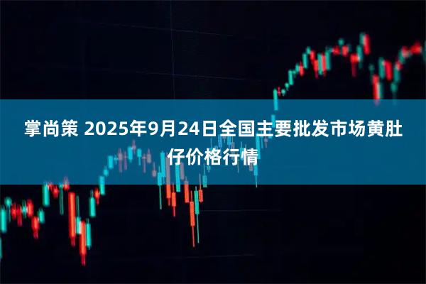 掌尚策 2025年9月24日全国主要批发市场黄肚仔价格行情