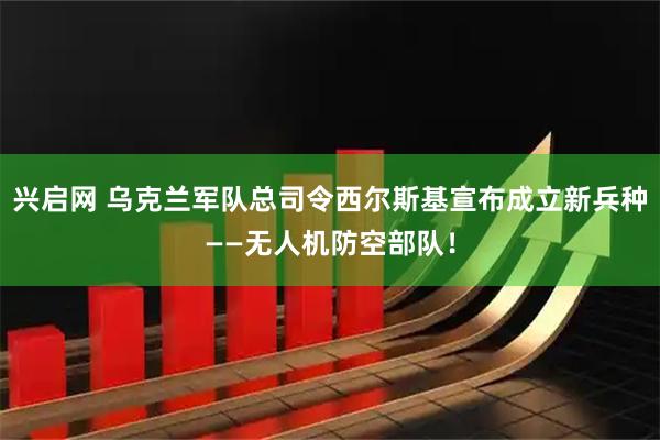 兴启网 乌克兰军队总司令西尔斯基宣布成立新兵种——无人机防空部队！