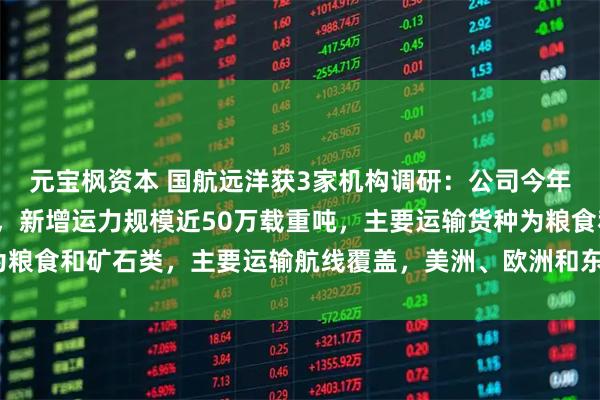 元宝枫资本 国航远洋获3家机构调研：公司今年将陆续交付6艘新造船，新增运力规模近50万载重吨，主要运输货种为粮食和矿石类，主要运输航线覆盖，美洲、欧洲和东亚区域（附调研问答）
