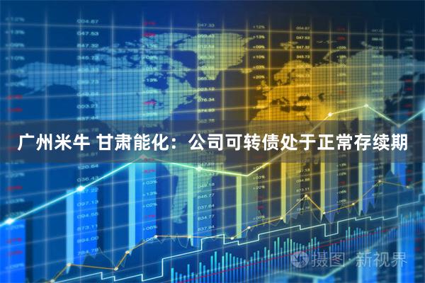 广州米牛 甘肃能化：公司可转债处于正常存续期